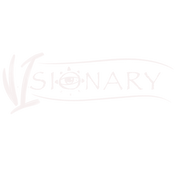 V.I.sionary 284