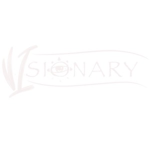 V.I.sionary 284