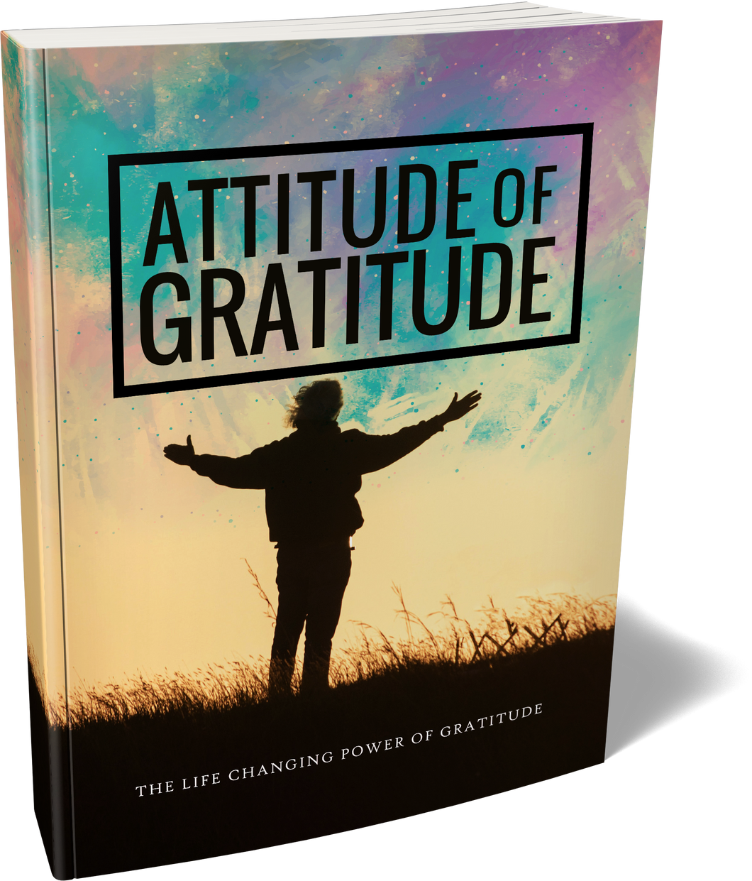 Attitude of Gratitude